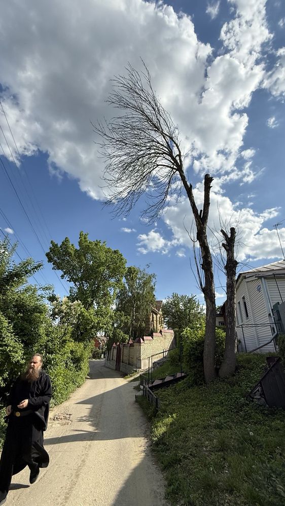 Photograph by Ksenya