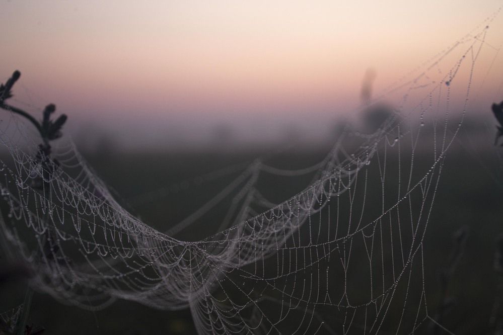 Photograph by Мария Бобылёва