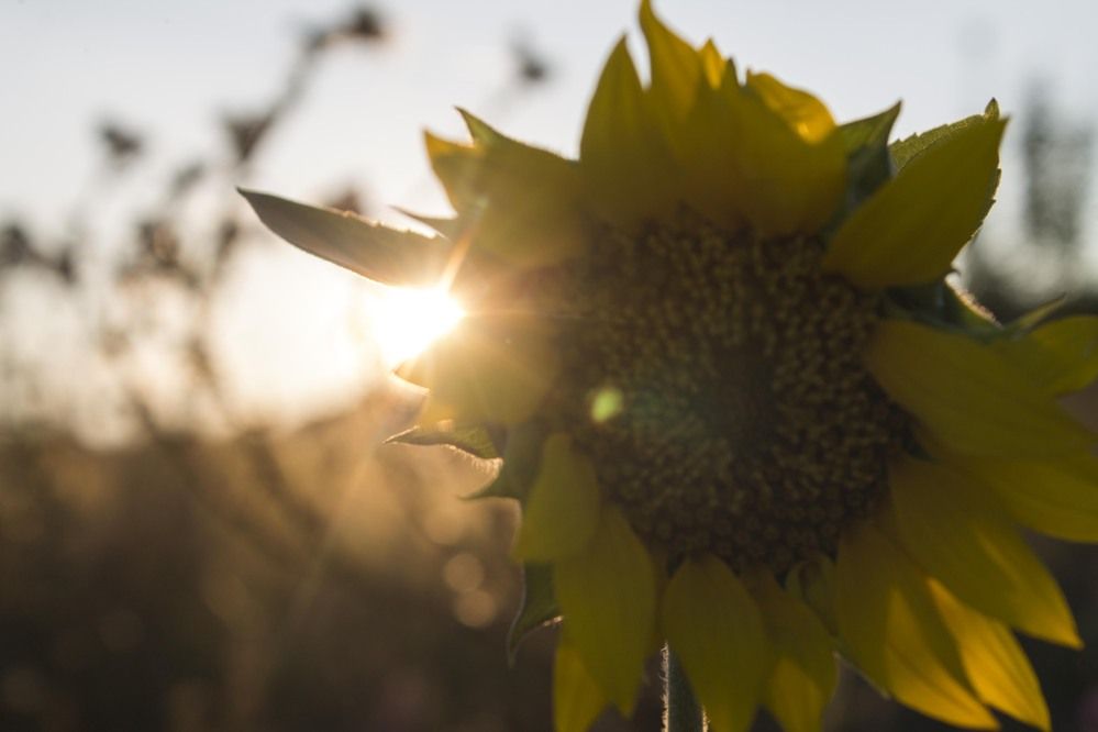 Photograph by Мария Бобылёва