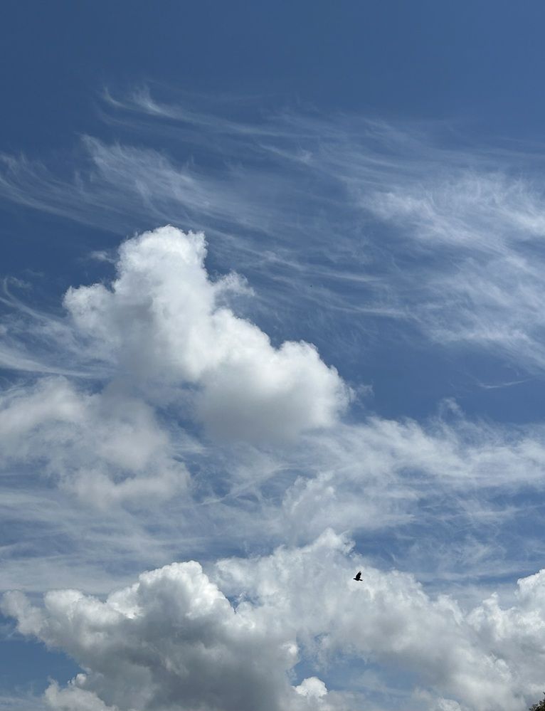 Фотография автора Gulsima