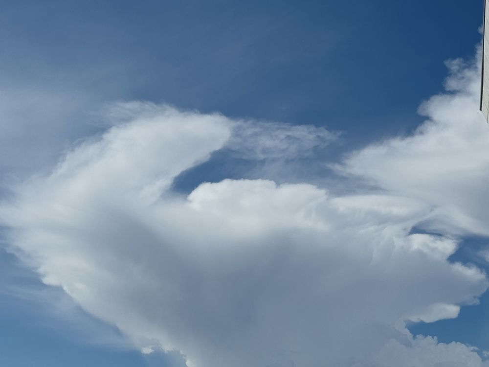 Photograph by Zeni Shariff