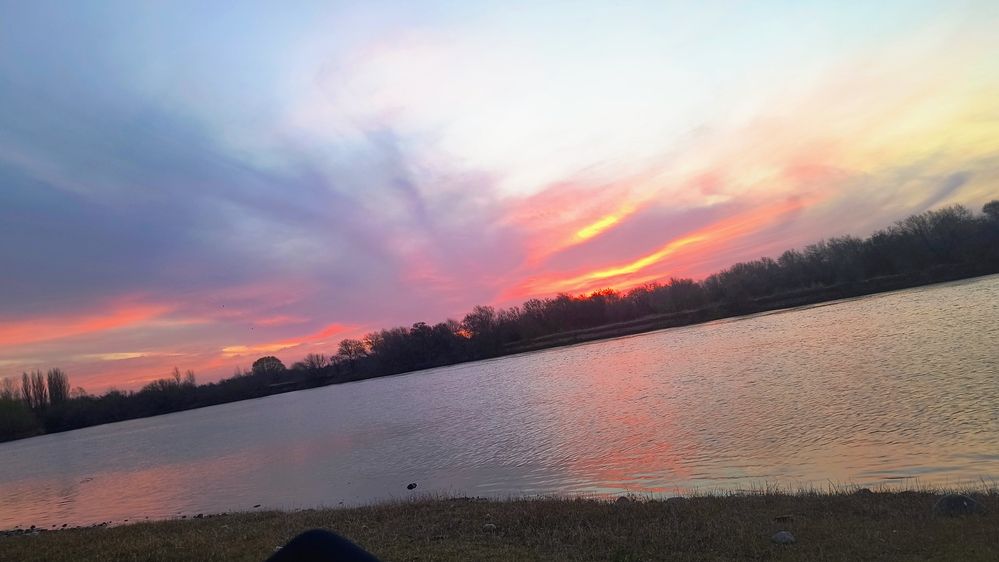 Photo #12543836