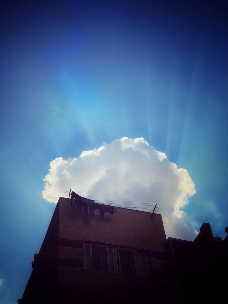 Photograph by Moamen Khaled