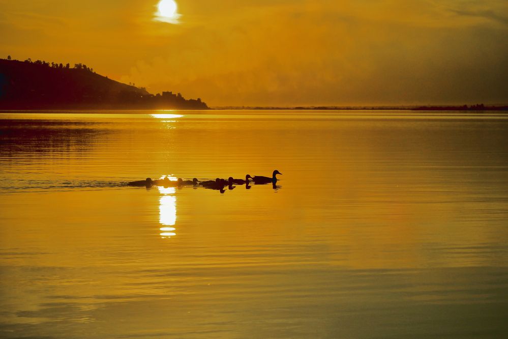 Photograph by Сергей Мур