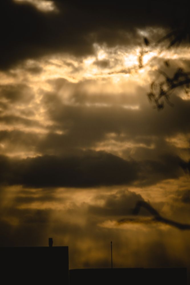 Photograph by Дмитрий Будылин