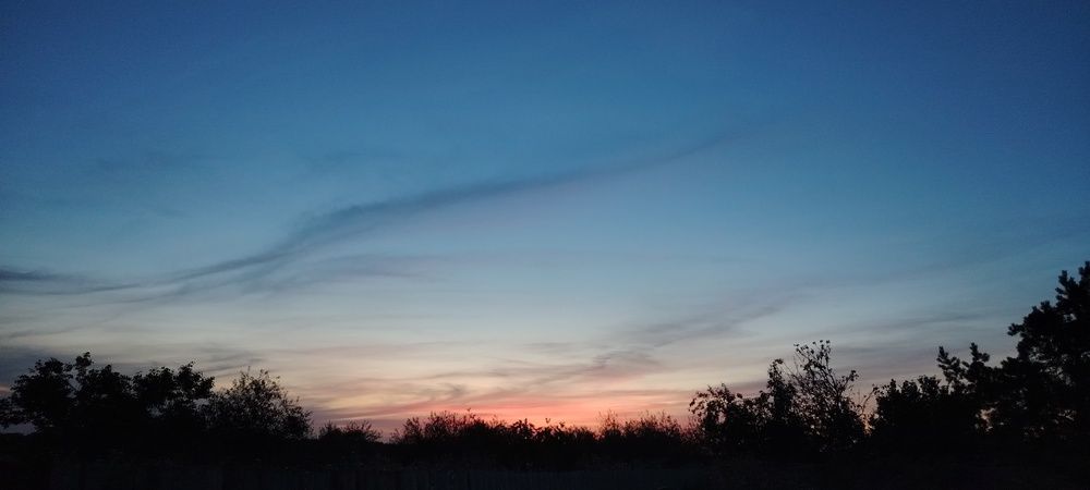 Photograph by Мария Хорошилова