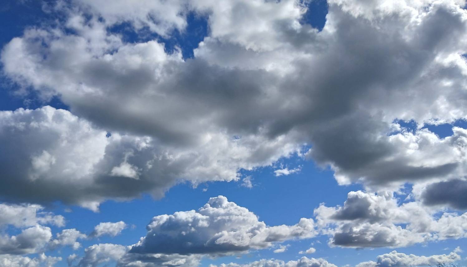 Photo #12543957