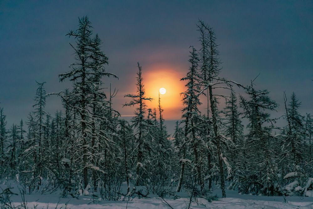 Photograph by Галина Искандарова