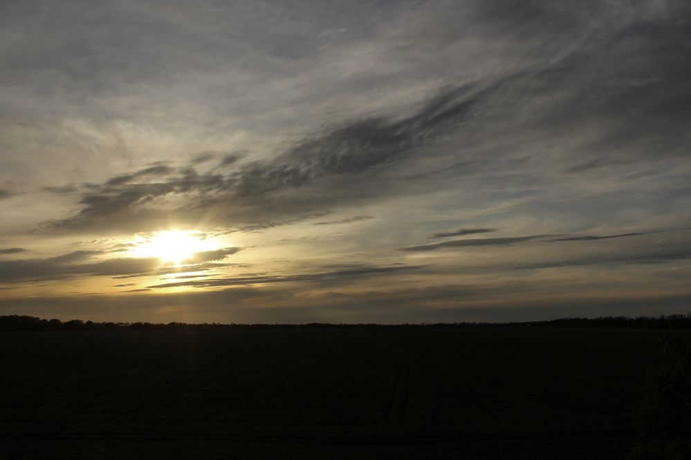 Photograph by Ирина Дмитриенко