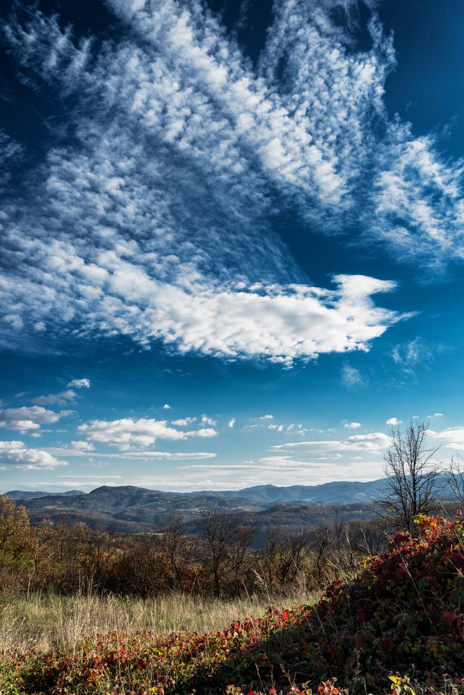 Photograph by Георги Георгиев