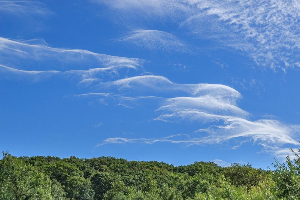 Photograph by Sergey Tsubanov