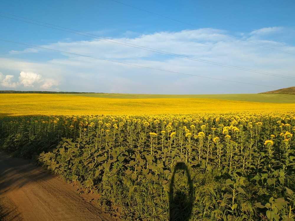 Photograph by Марина А-Б