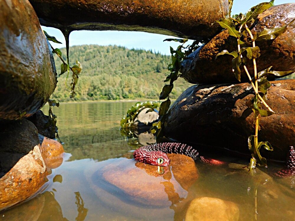 Photograph by Александр Прядко