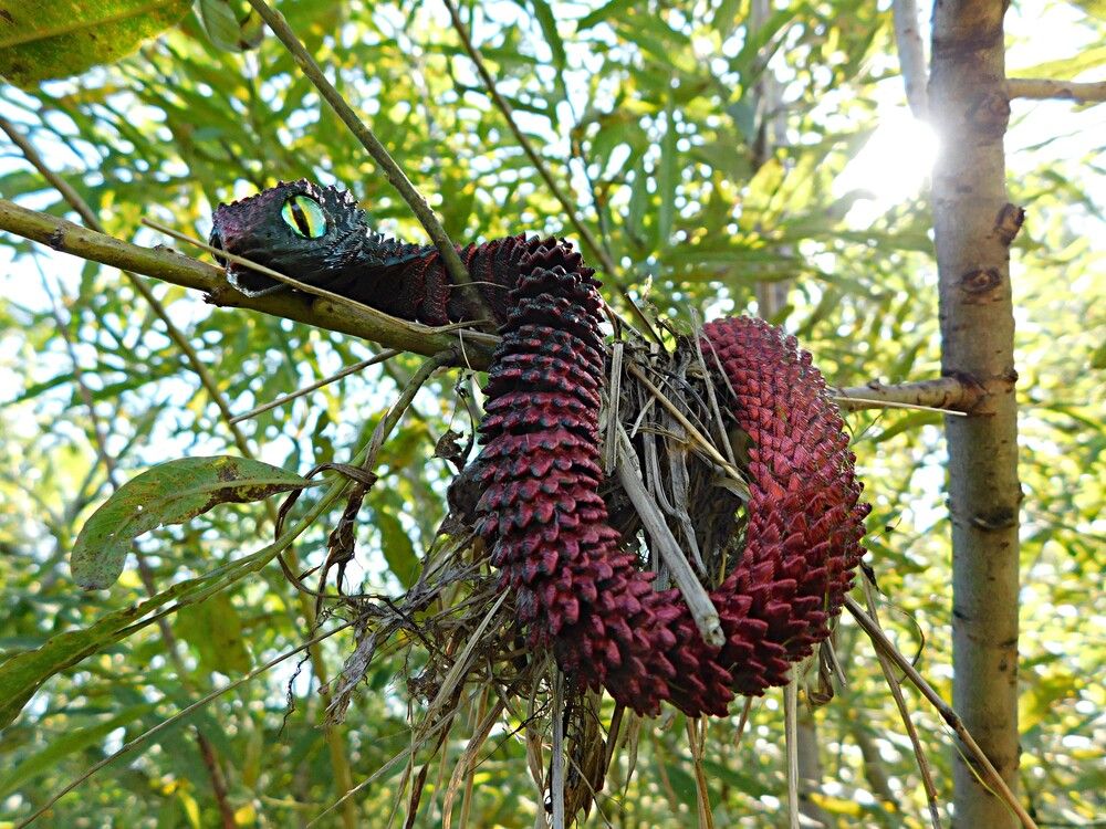 Photograph by Александр Прядко