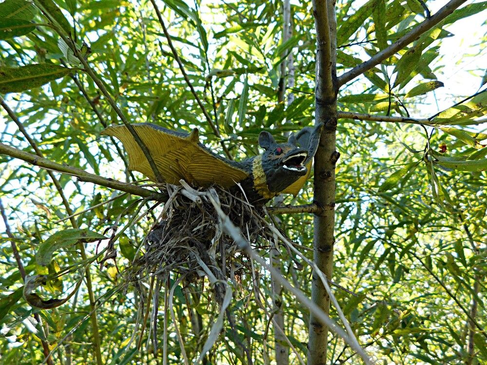 Photograph by Александр Прядко