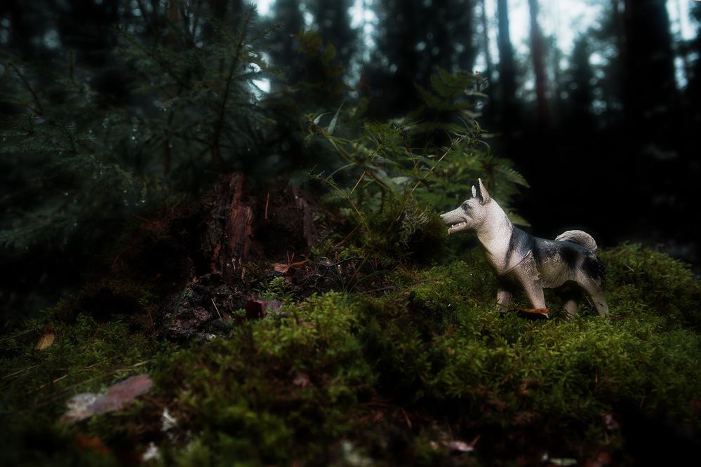 Photograph by Дарья Улюсова