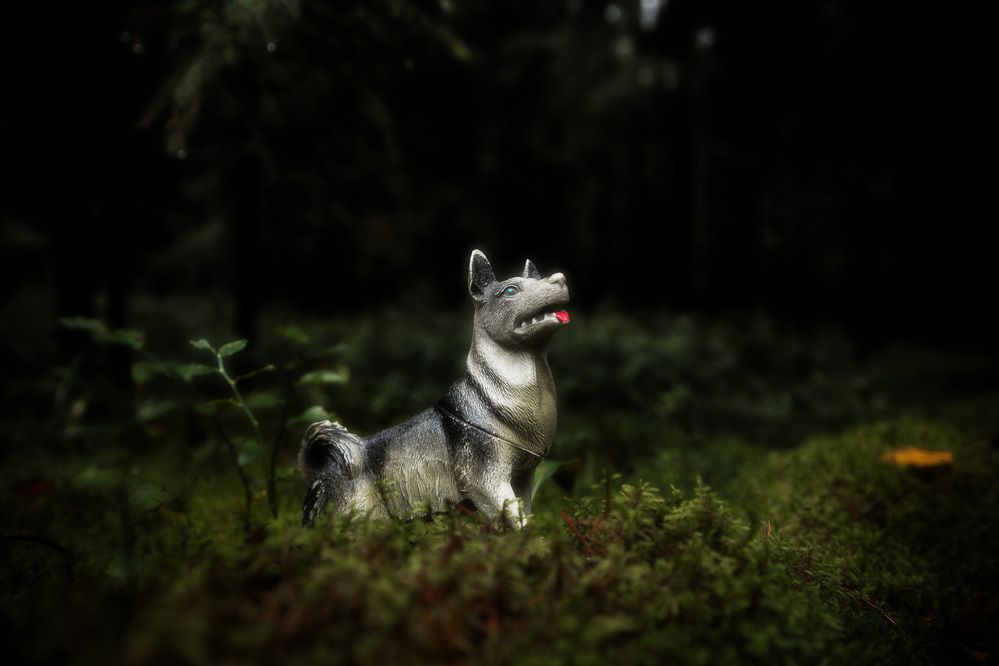 Photograph by Дарья Улюсова