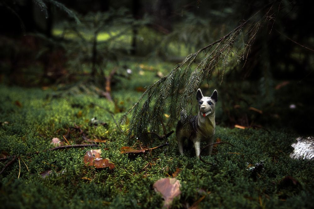 Photograph by Дарья Улюсова