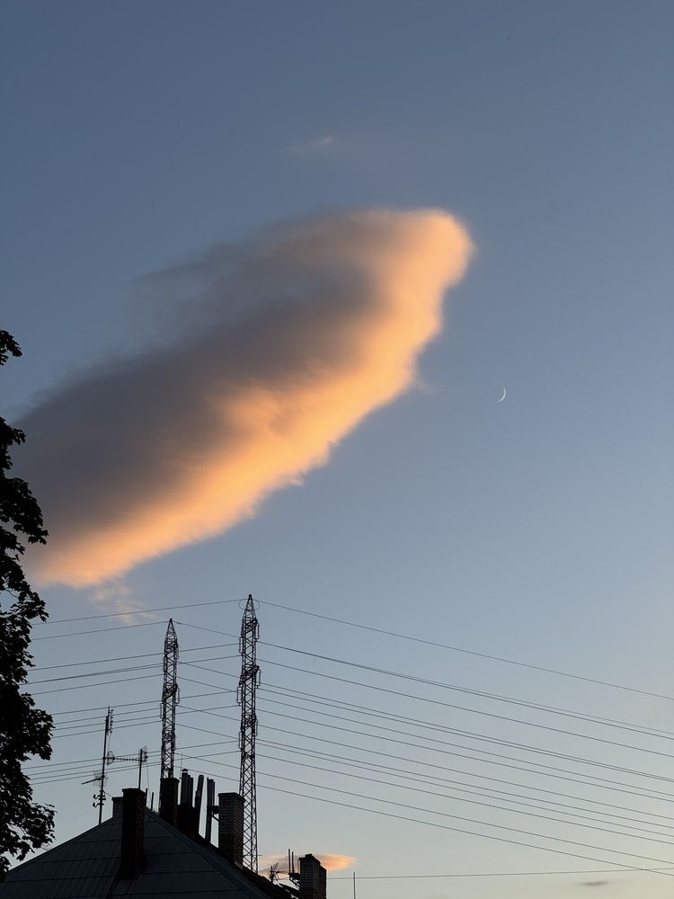 Photograph by Alena Vaganova