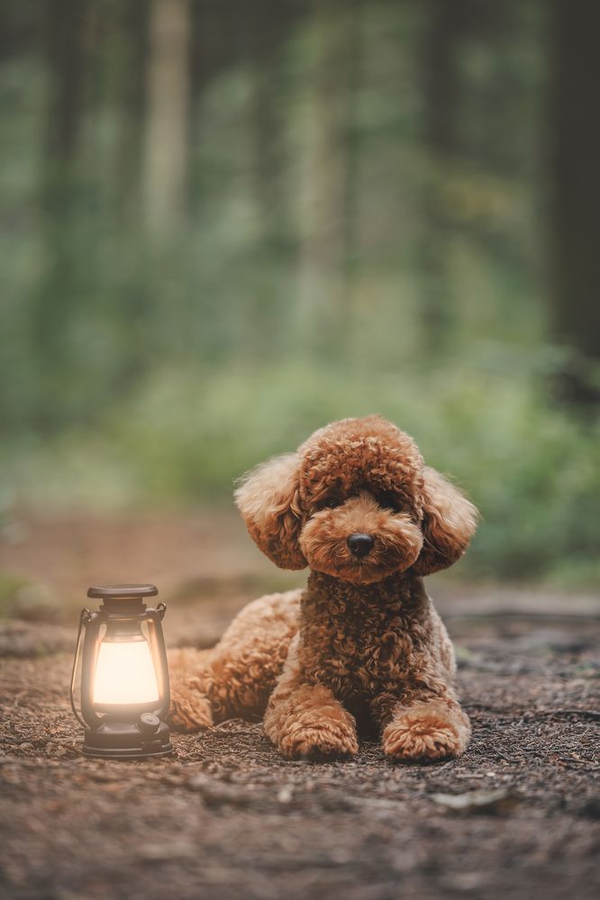 Photograph by Анастасия Жучкова