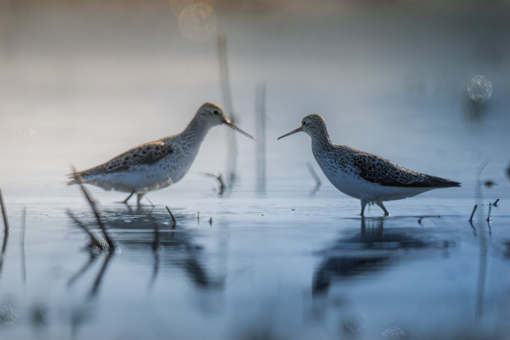 Фотография автора Вячеслав Ладанов
