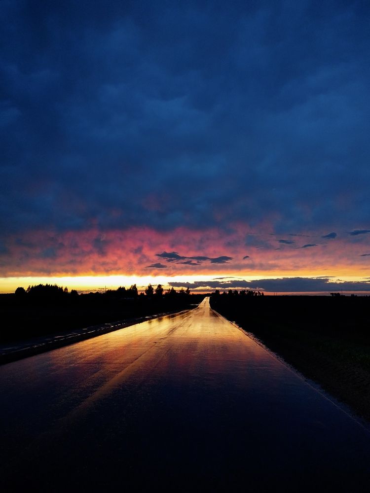 Photo #12544345