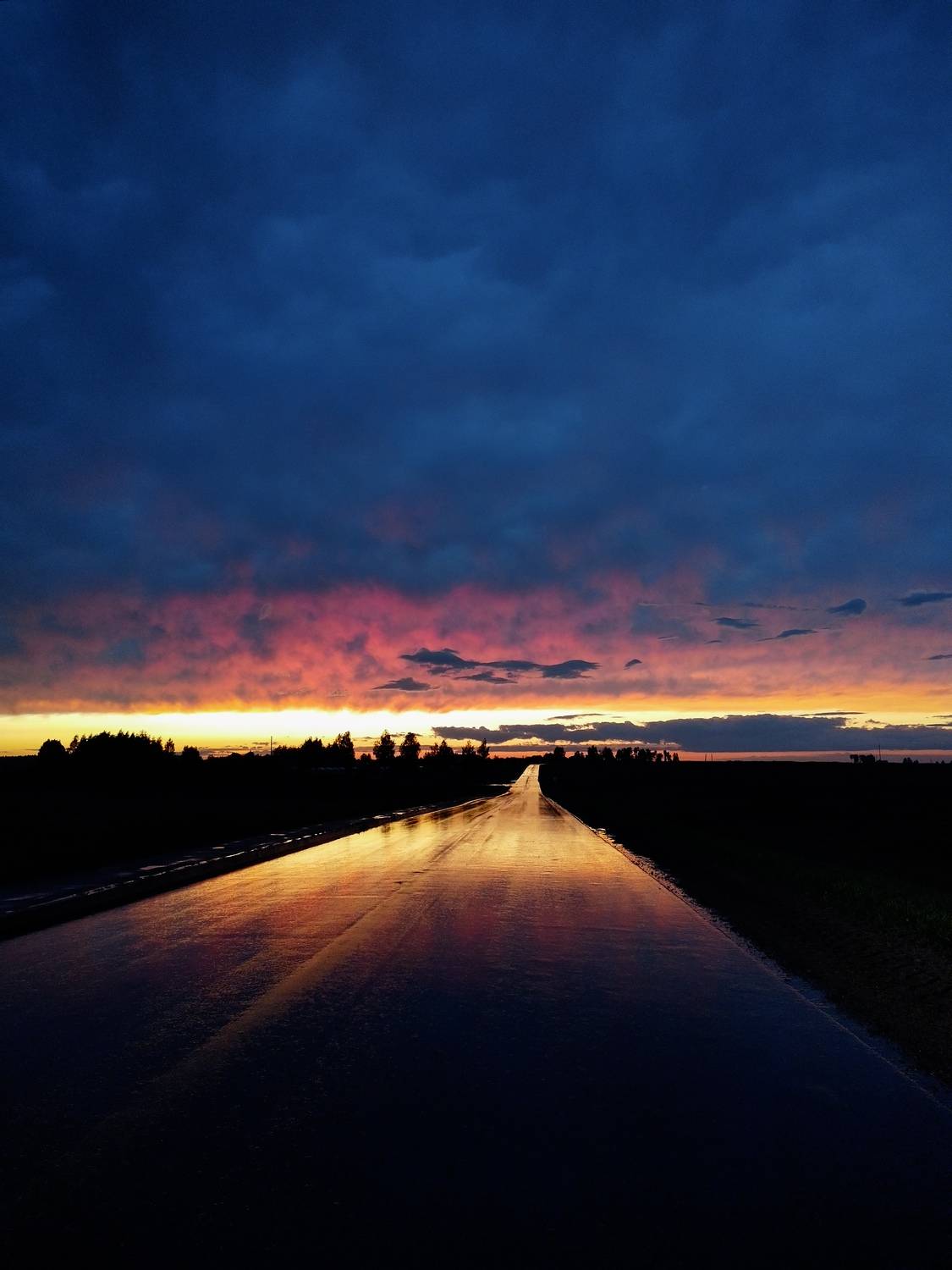 Photo #12544345