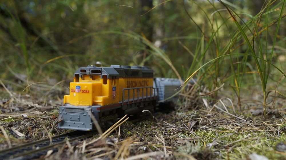 Photograph by Igors Rostikovs