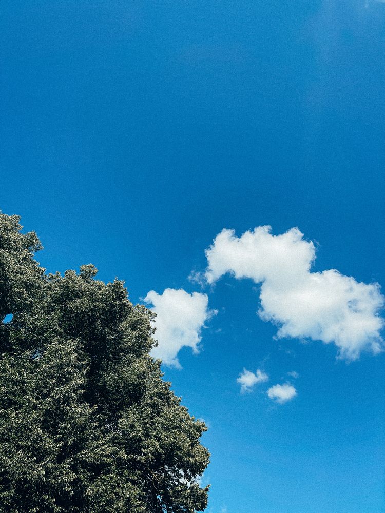 Photograph by Evgenia