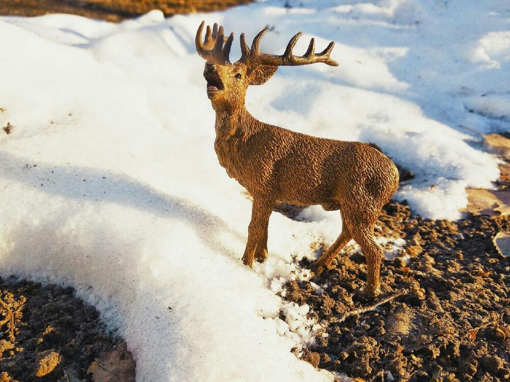 Фотография автора Павел Попов