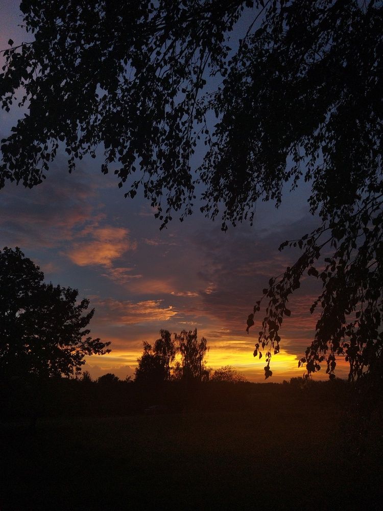 Photo #12544478