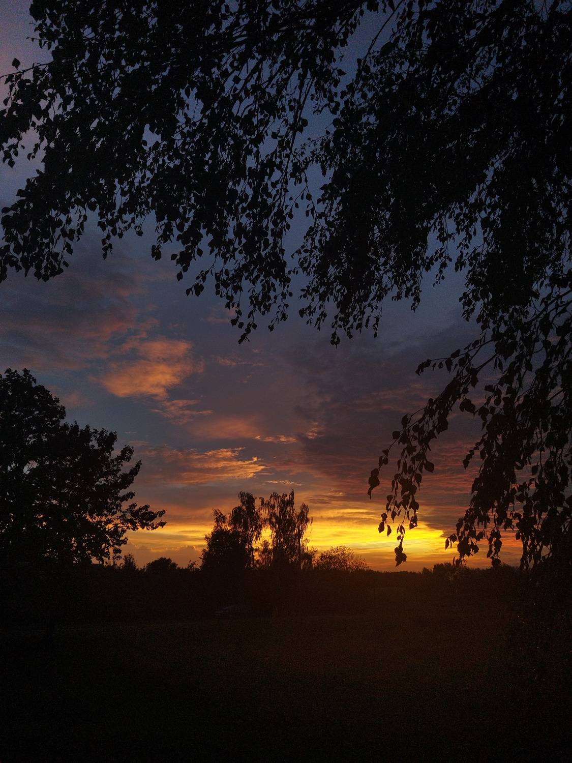 Photo #12544478
