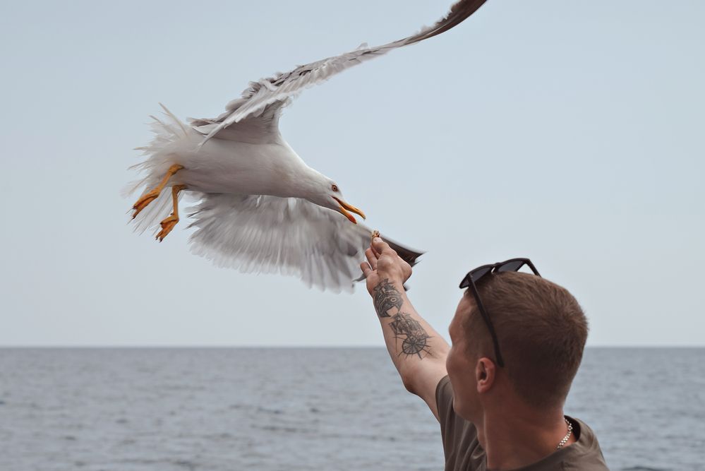 Photograph by Наталия Космынина