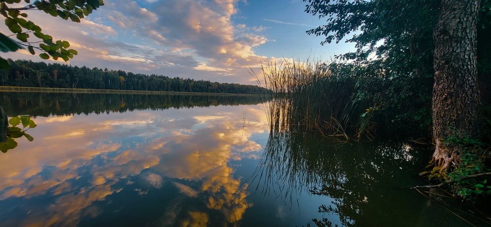 Photograph by Анна Дереза