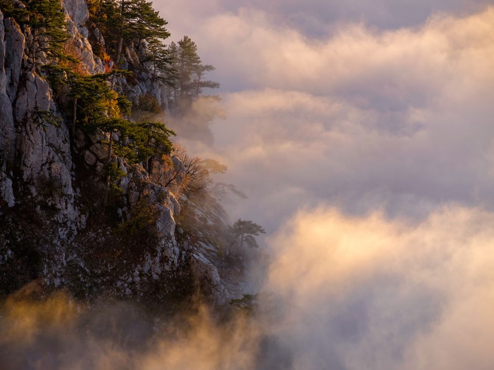 Photograph by Kaiser Sozo