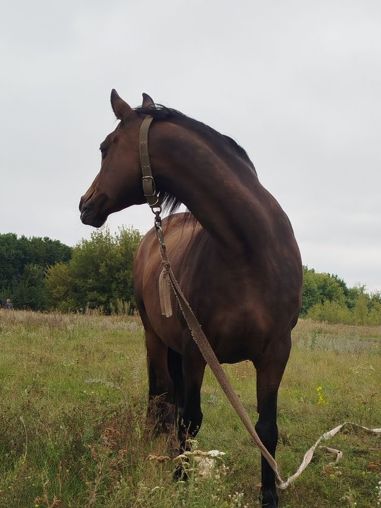 Photo #12544569