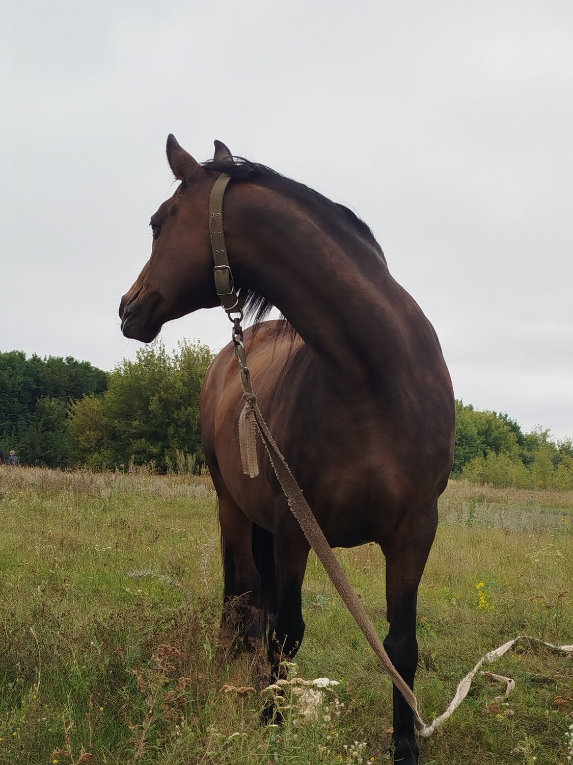 Photo #12544569