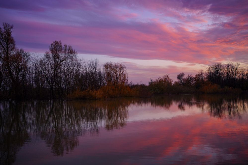 Фотография автора Татьяна Тур