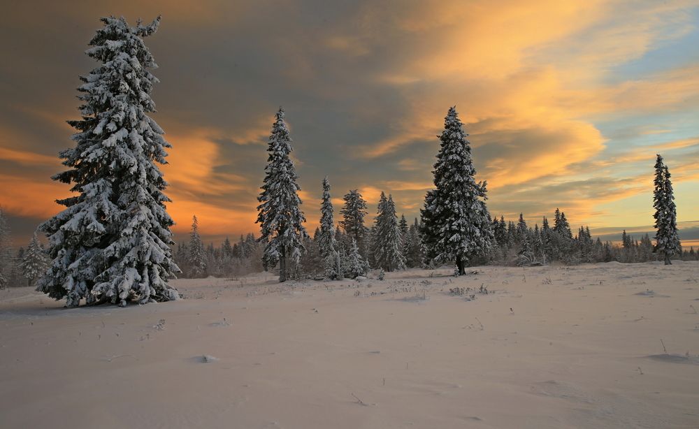 Фотография автора Юрий Кетель
