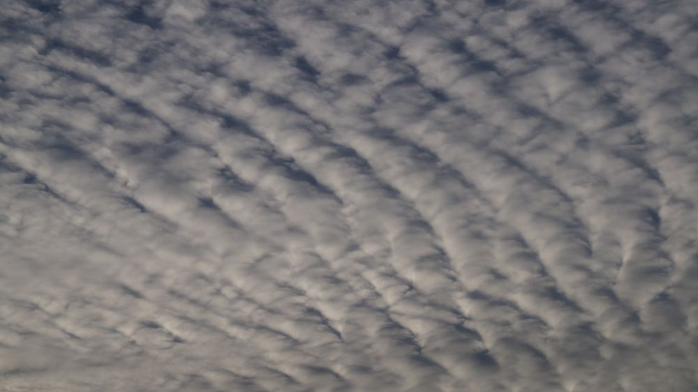 Photograph by Юлия Мельникова