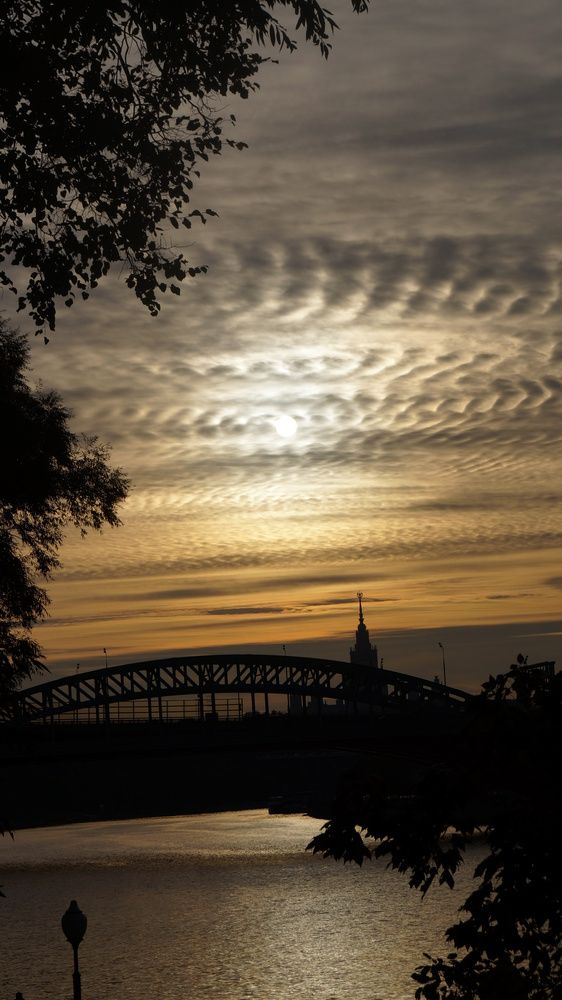 Photograph by Юлия Мельникова