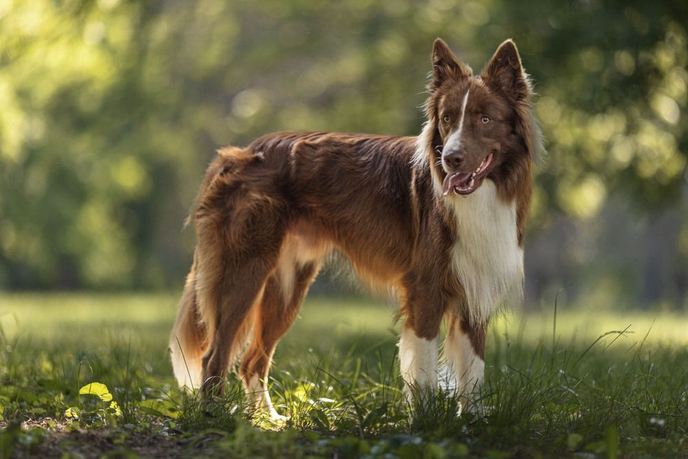 Photograph by Ziba Chakaryan