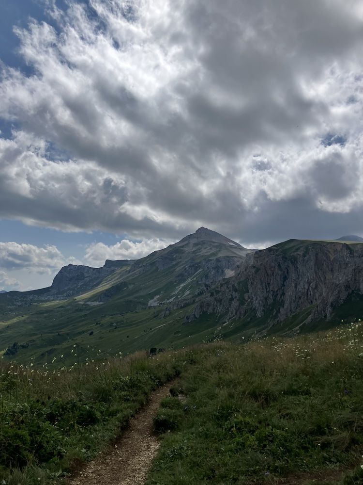 Фотография автора Ксения