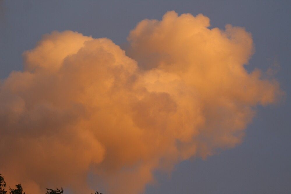 Photograph by Наталья Резванова