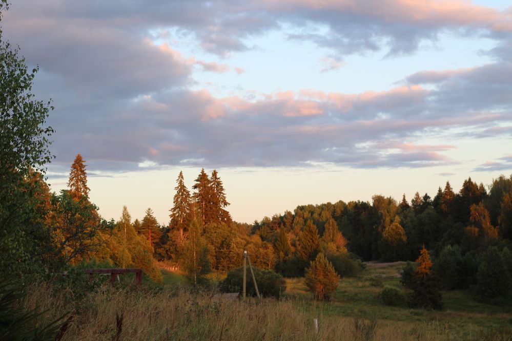 Photograph by Наталья Резванова