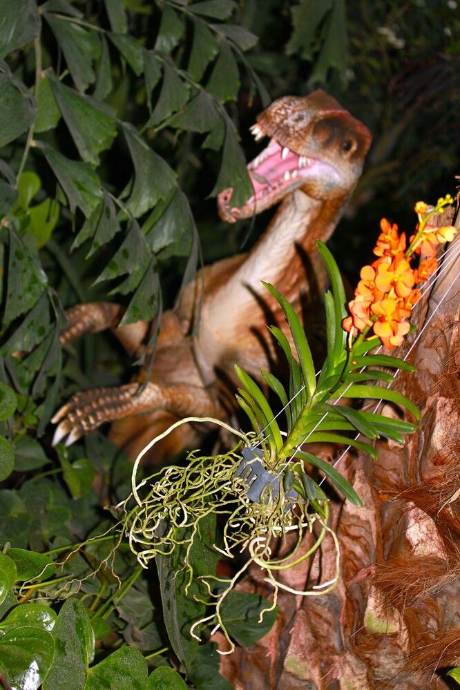 Photograph by Гагик Саркисян