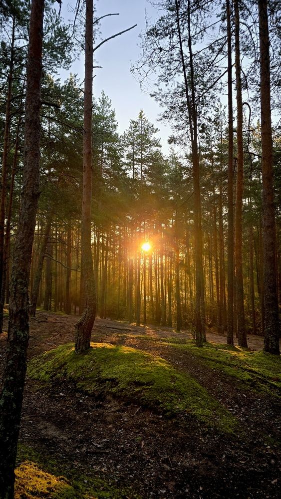 Photograph by Елена Безперстова