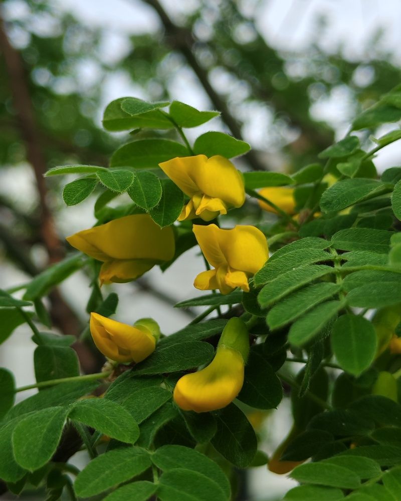 Photograph by Альбина Майкова