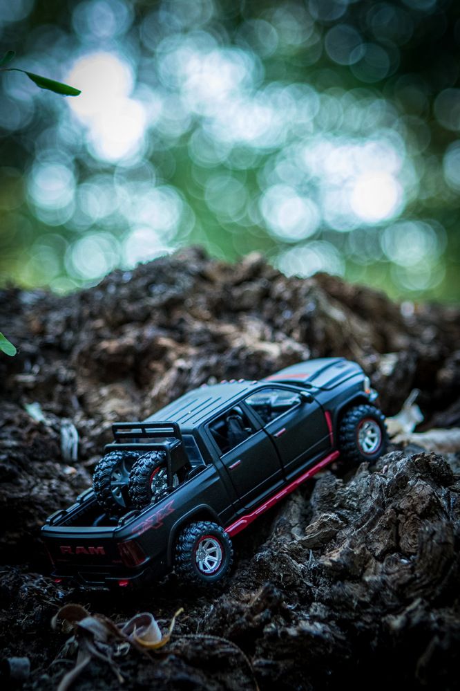 Photograph by Алёна Шелепова