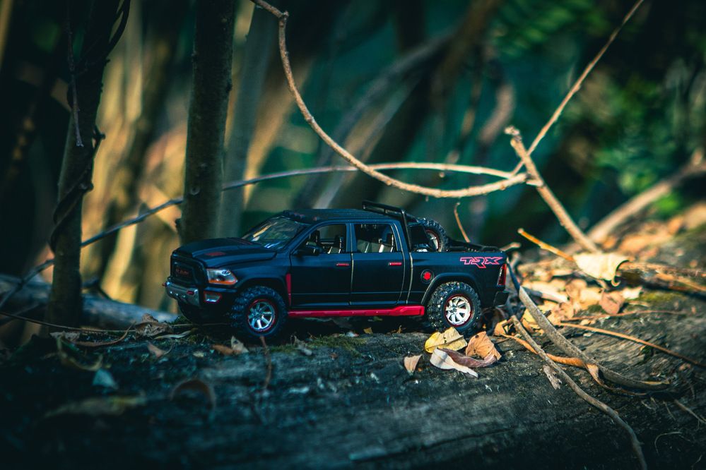 Photograph by Алёна Шелепова